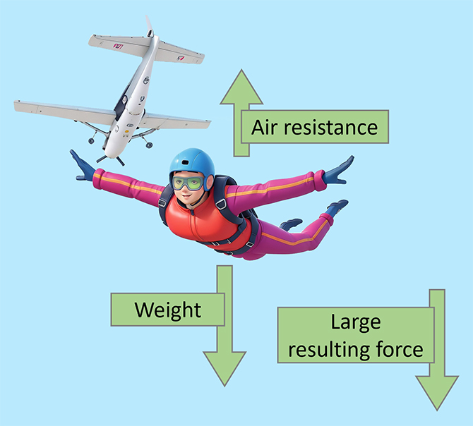 Infographic showing the physics of skydiving - exit, freefall, terminal velocity, parachute deployment, and landing phases
